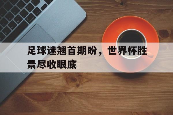 电子竞技iOS安卓版-足球迷翘首期盼，世界杯胜景尽收眼底